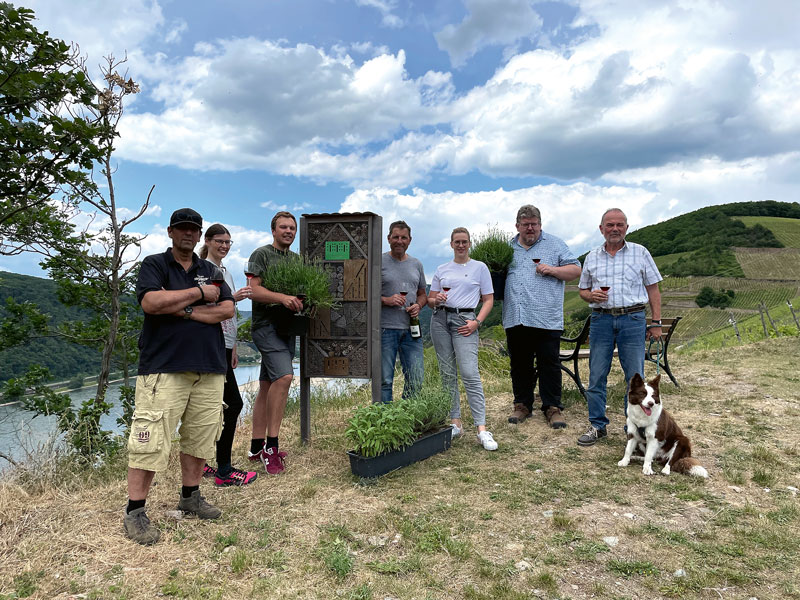 Rheingau: Ruheplätze im unteren Rheingau