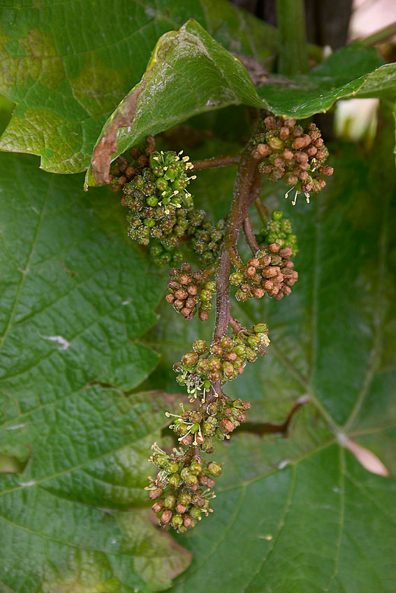 Viele Meilensteine wurden erreicht