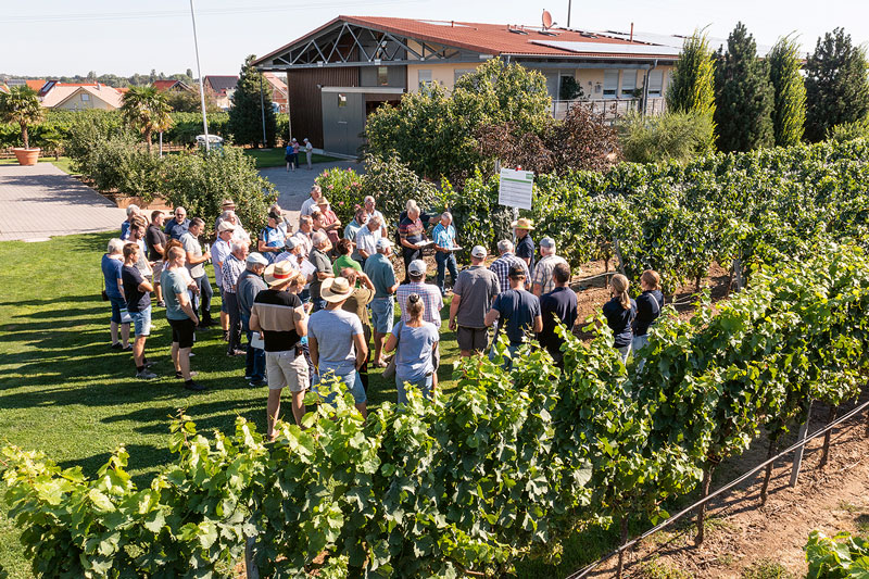 BASF: Viel Interesse bei den Weinbautagen Forst
