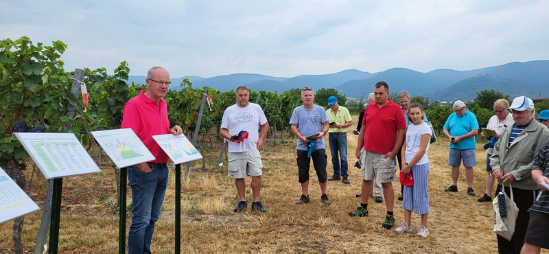 Bayer Weinbautage zeigen Spritzfolgeversuche