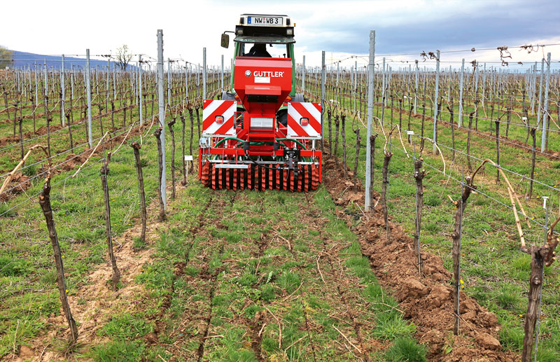 Direktsaaten im Weinbau