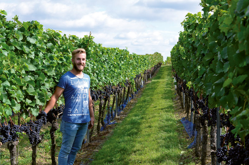 Ausgezeichnete junge Weintalente