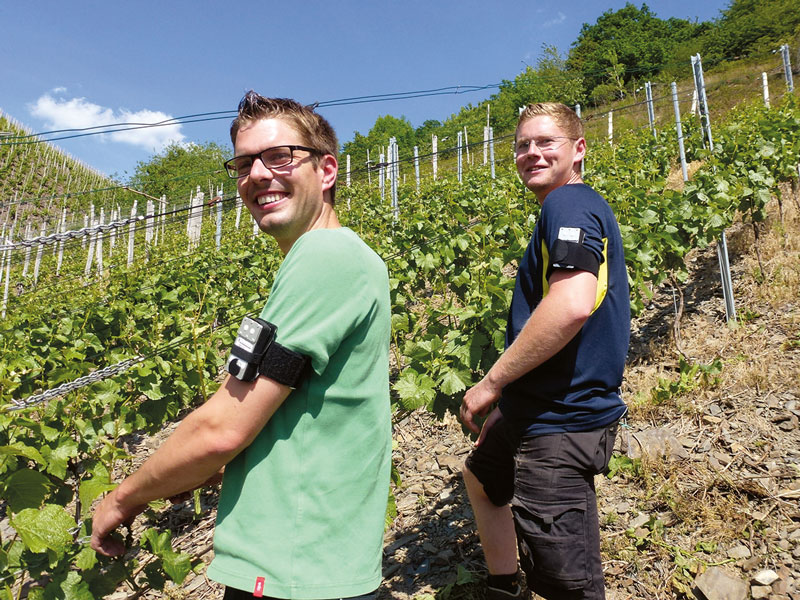 SVLFG fördert UV- und Hitzeschutz im Weinbau