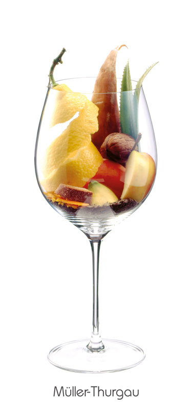 Kaltsedimentation –  mehr Frucht im Wein