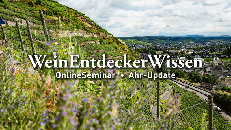 Online-Seminarreihe Wein-EntdeckerWissen wird fortgesetzt