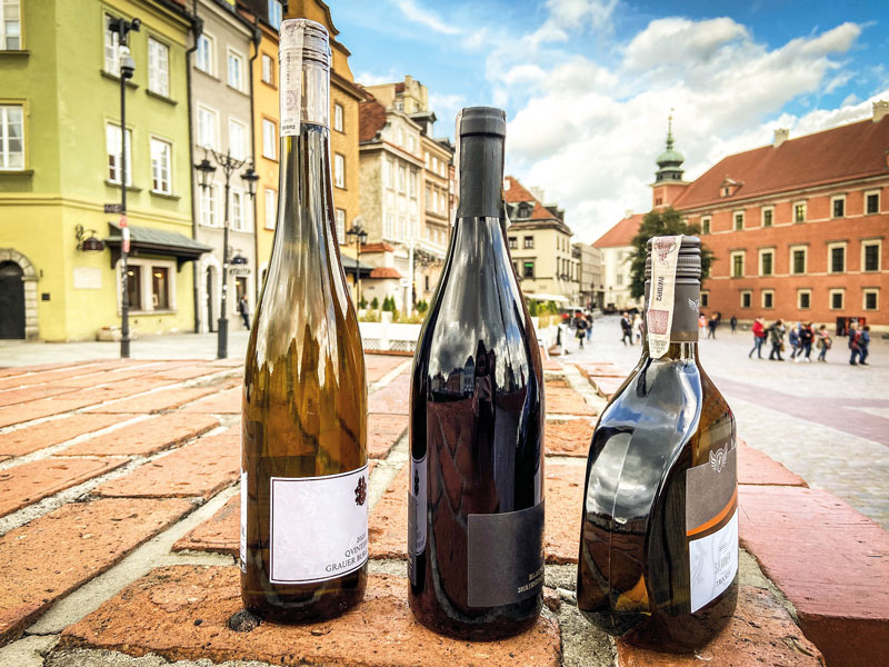 Dzień dobry: Weinmarkt Polen