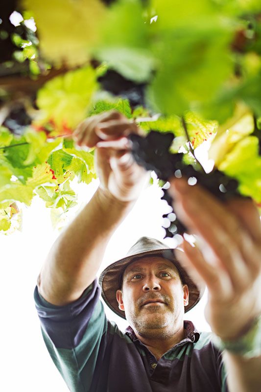 Herausfordernder Turboherbst