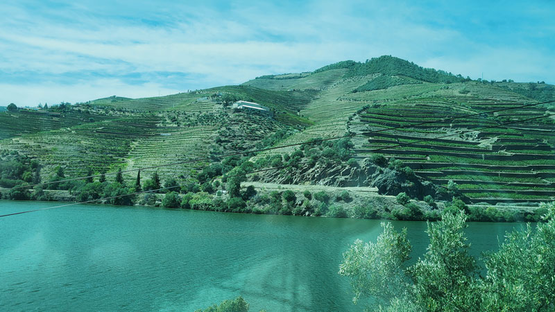 Weintour ins Dourotal und nach Galicien