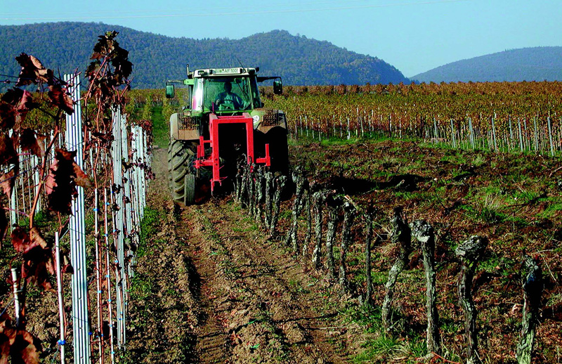 Kosten im Weinbau: Excel-Tabellen