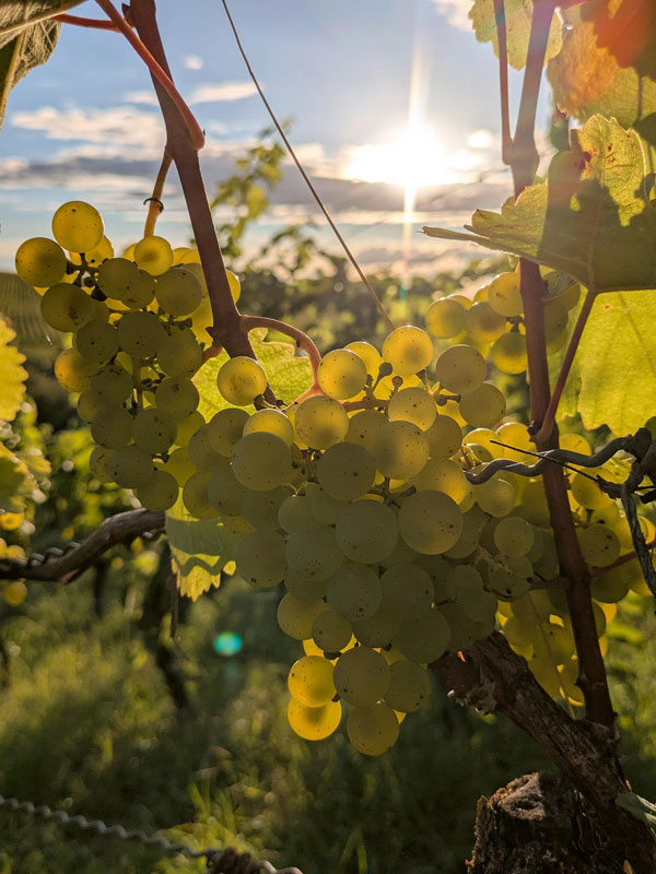Turboherbst von Süd bis Nord