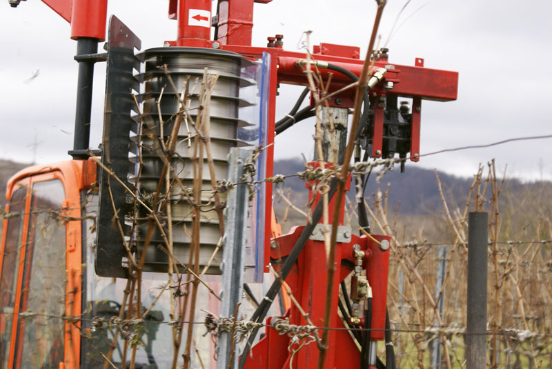 Rebschnitt und Arbeitszeit – teuer wie nie