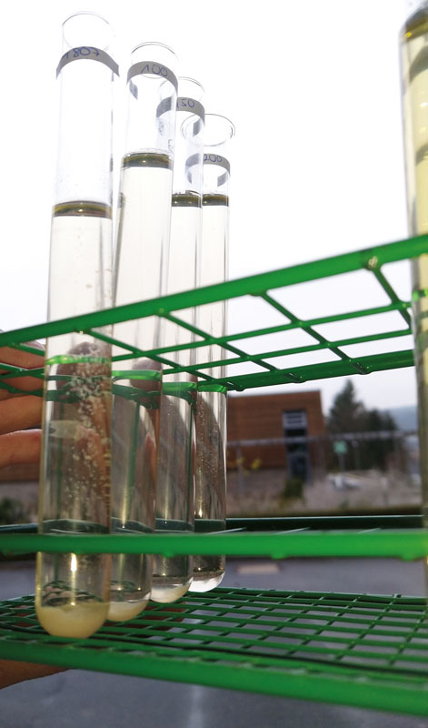 Klar muss Wein klar sein