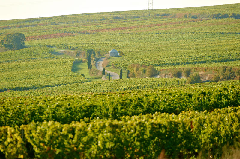 Die neue Pacht-Realität