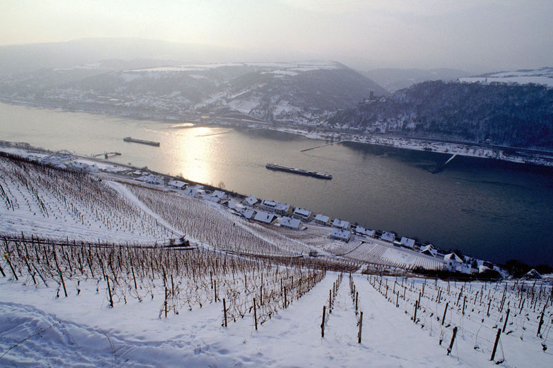 Krankenversicherung, Steuerrecht und GAP