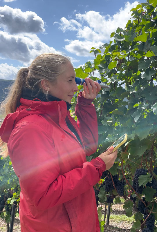 Unterstützer im Winzeralltag