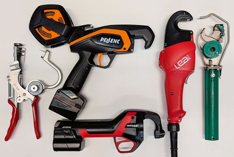 Bindezangen – was gibt´s Neues?