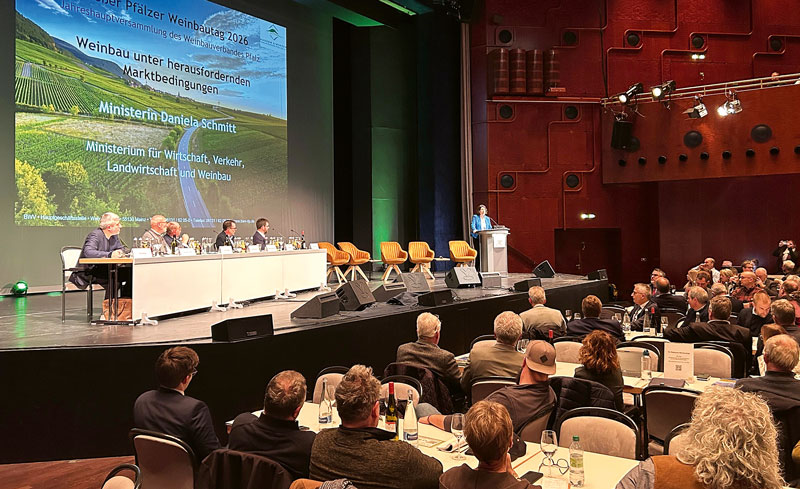 In die richtige Richtung, aber zu langsam