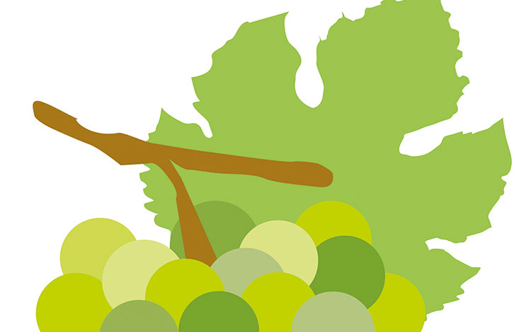 11. Internationaler Scheurebe-Preis