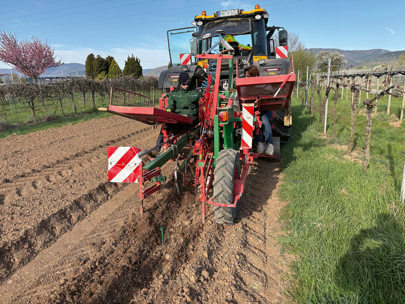 Bei Neuanlagen nicht am falschen Ende sparen
