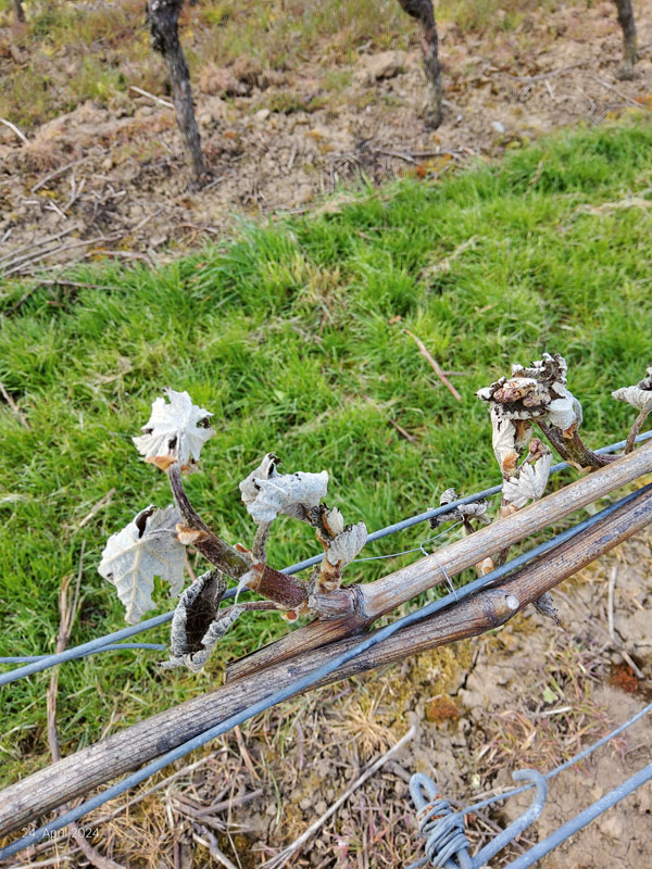 Sicherheit und Verlässlichkeit