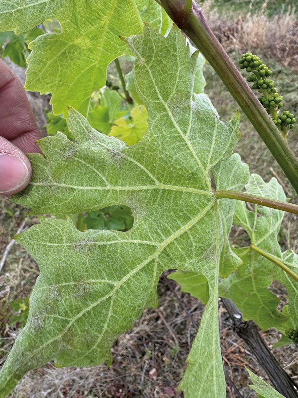 Gut gerüstet an den Start