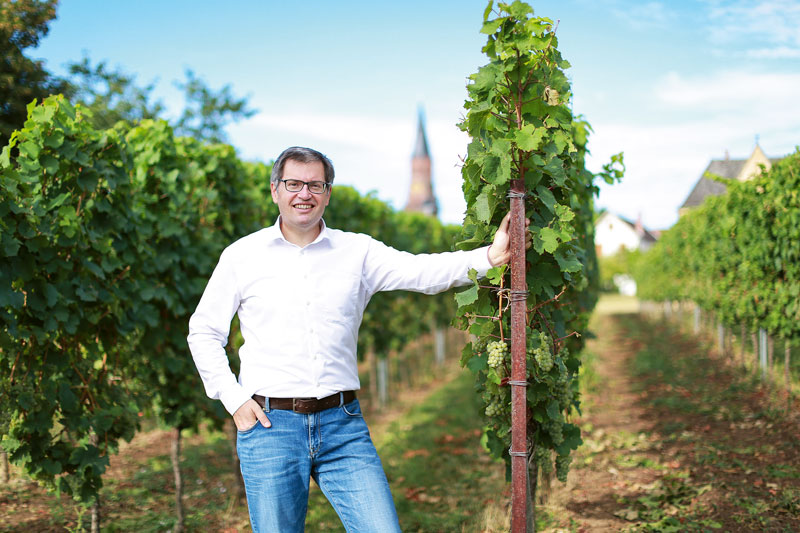 Wie Banken die Lage der Weinbaubetriebe beurteilen
