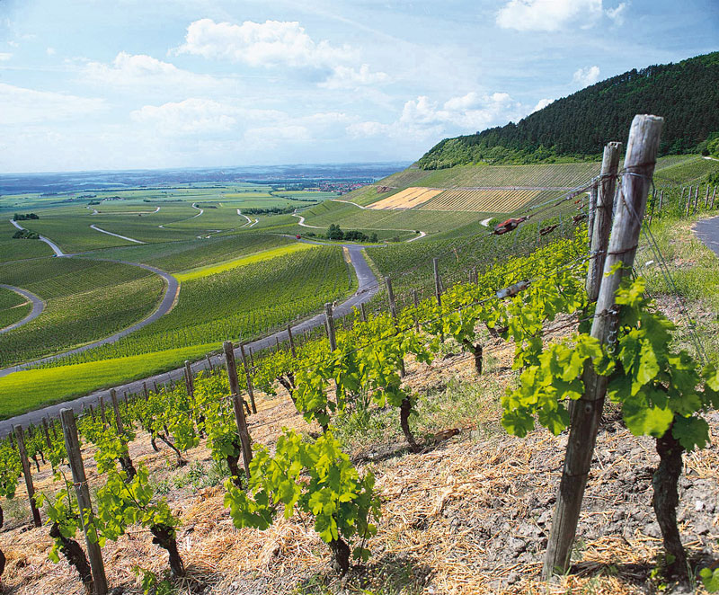 Pflanzenschutz in herausforderndem Umfeld