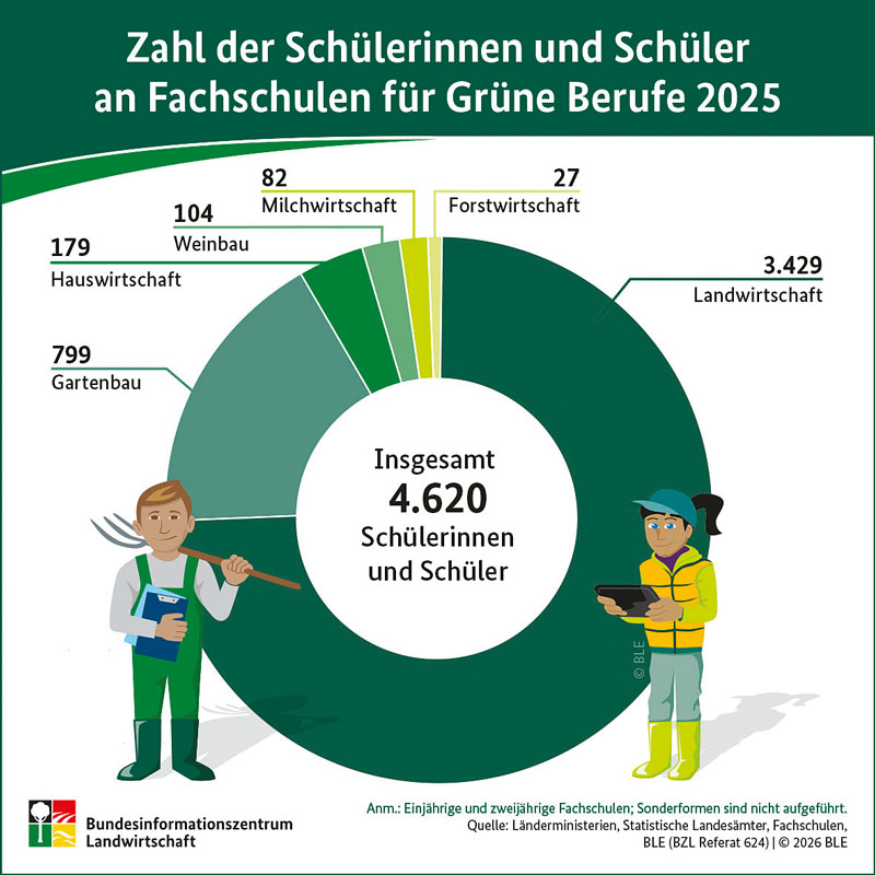 Schülerzahl an Fachschulen gestiegen