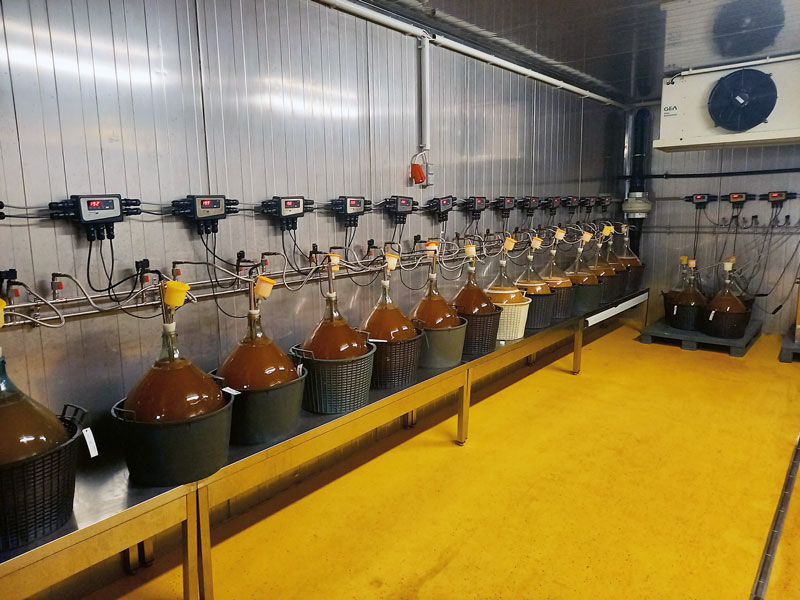 Weniger Risiko durch Pied de Cuve?