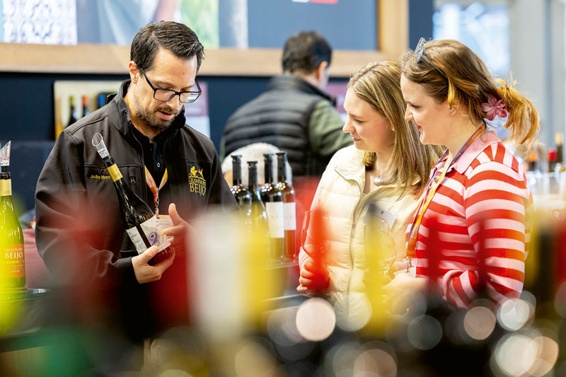 Discovery Zone:  Auf Entdeckungstour