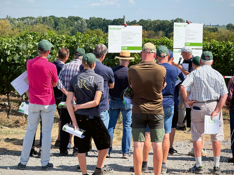 Bayer: Es könnte ein guter Jahrgang werden