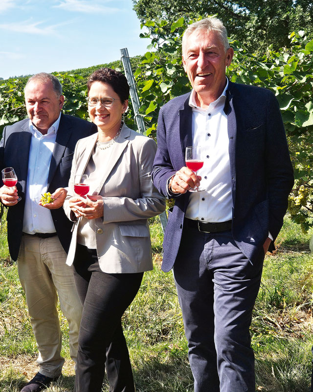 Weinbauverbände kooperieren stärker