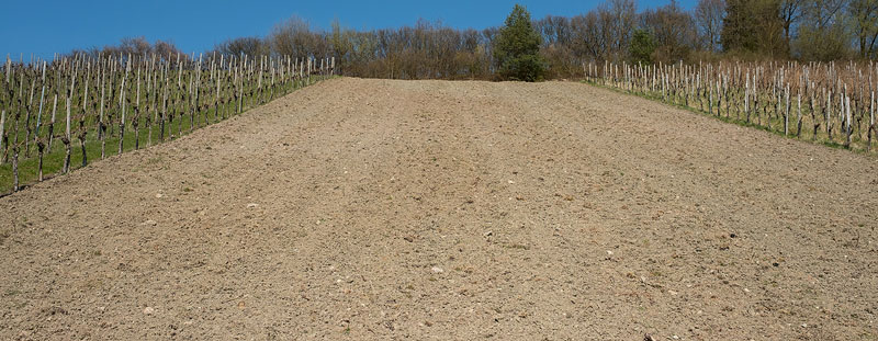 Bodenbearbeitung und anstehende Rodungen